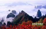 重慶市去到張家界旅游的旅行社團(tuán)隊(duì)優(yōu)惠折扣報(bào)價
