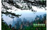 【純玩獨(dú)立成團(tuán)線路1】張家界、袁家界、天子山、寶峰湖/黃龍洞二晚三日