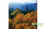 長沙往返張家界、天子山、寶峰湖/黃龍洞三日游
