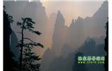 張家界國家森林公園、寶峰湖/黃龍洞、鳳凰古城、三峽八日游