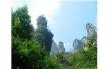 【純玩拼團線路 張家界出發(fā)A2線】張家界、袁家界、天子山、金鞭溪、鳳凰古城2晚3日游